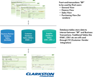 sap business partner information