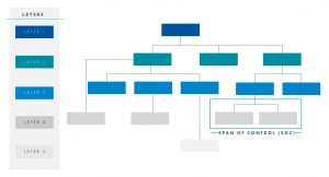 Spans and Layers: A Primer for Leaner Organizations | Clarkston Consulting