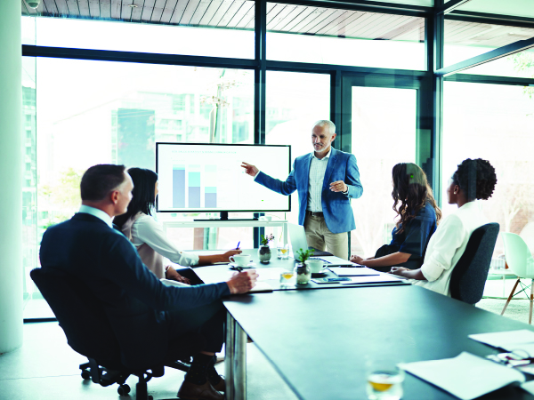 Veeva Consulting