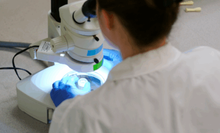 Developing a GMP Data Integrity Training Program for a Biotech Company