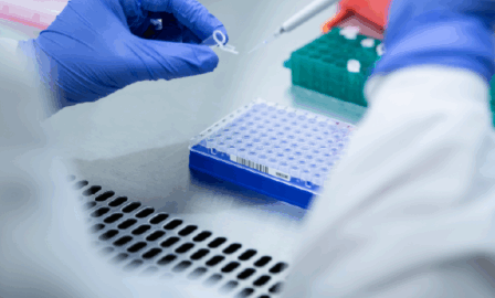 Report Development and Dashboard Assessment for a LabVantage LIMS Implementation