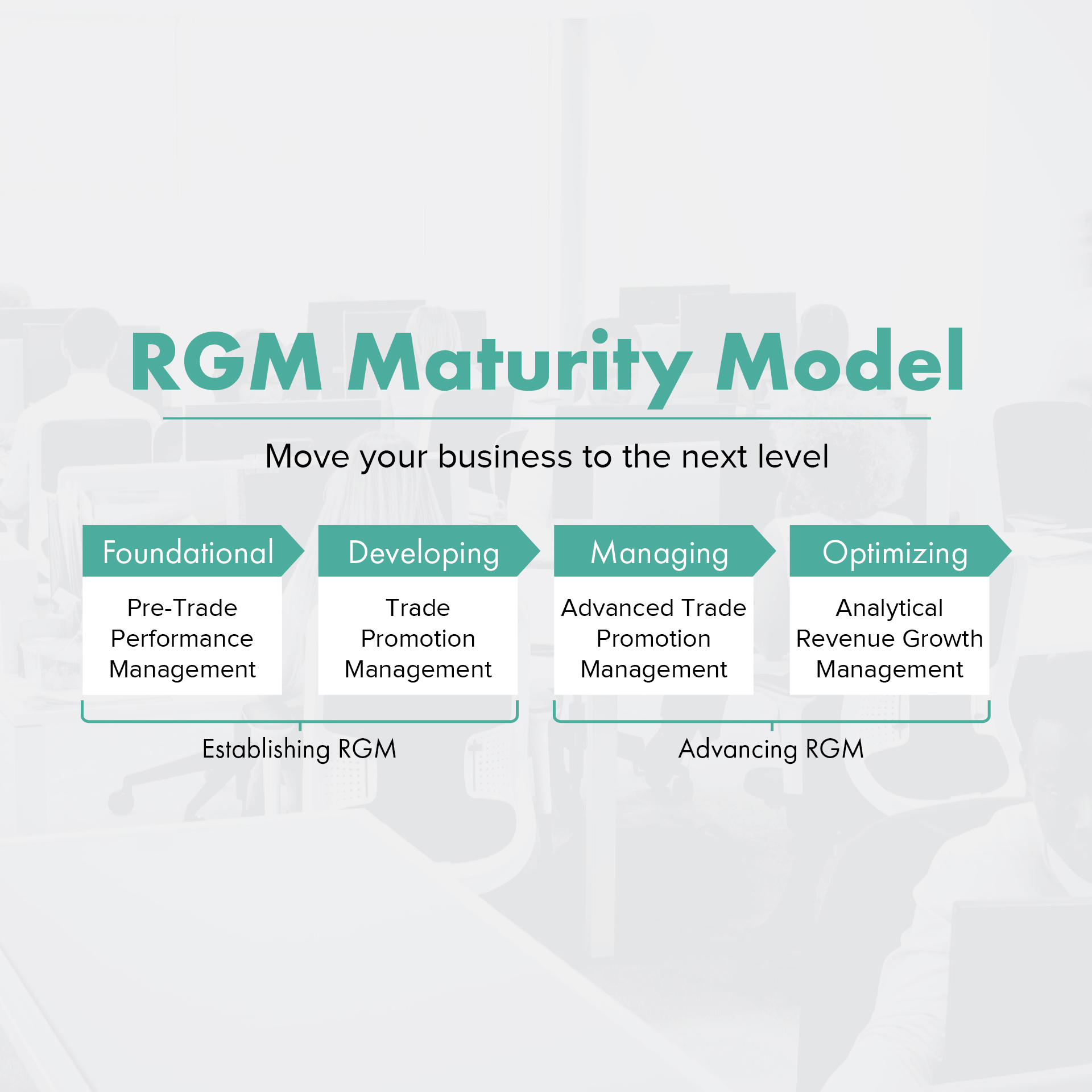 Revenue Growth Management | CPG Consulting