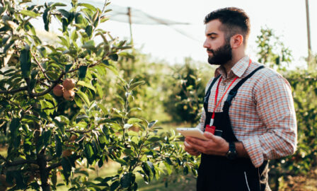 Beyond FSMA 204 Building Recall Intelligence for Food Traceability