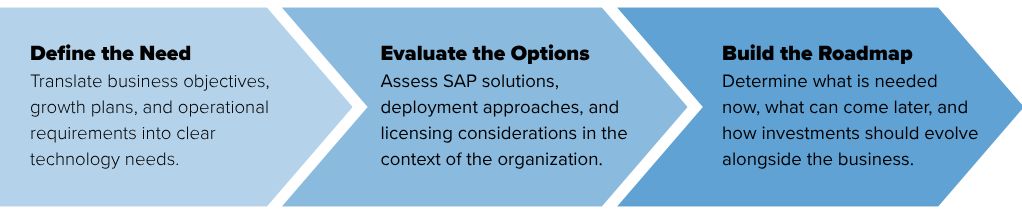 SAP Licensing Journey LS